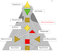 Krpergrafik mit den Namen der Zentren (Klicken fr vergrertes Bild)